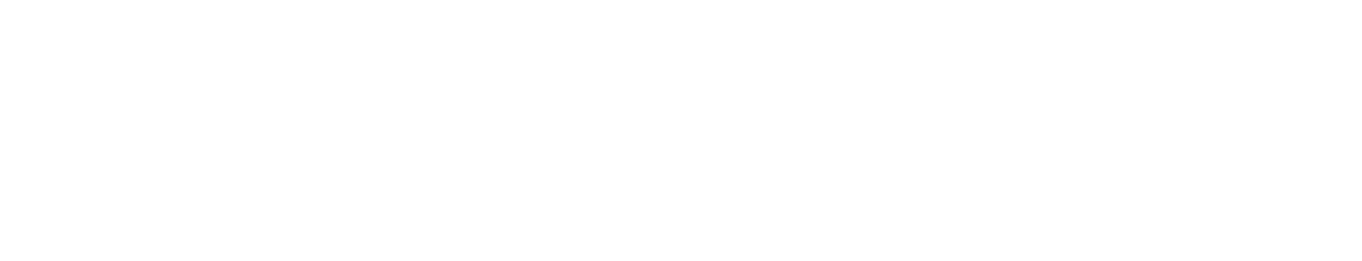 SYNAPSIS